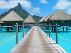 Exotic Holland America Cruises